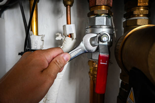 Best Plumbing Inspection Services  in Avalon, CA